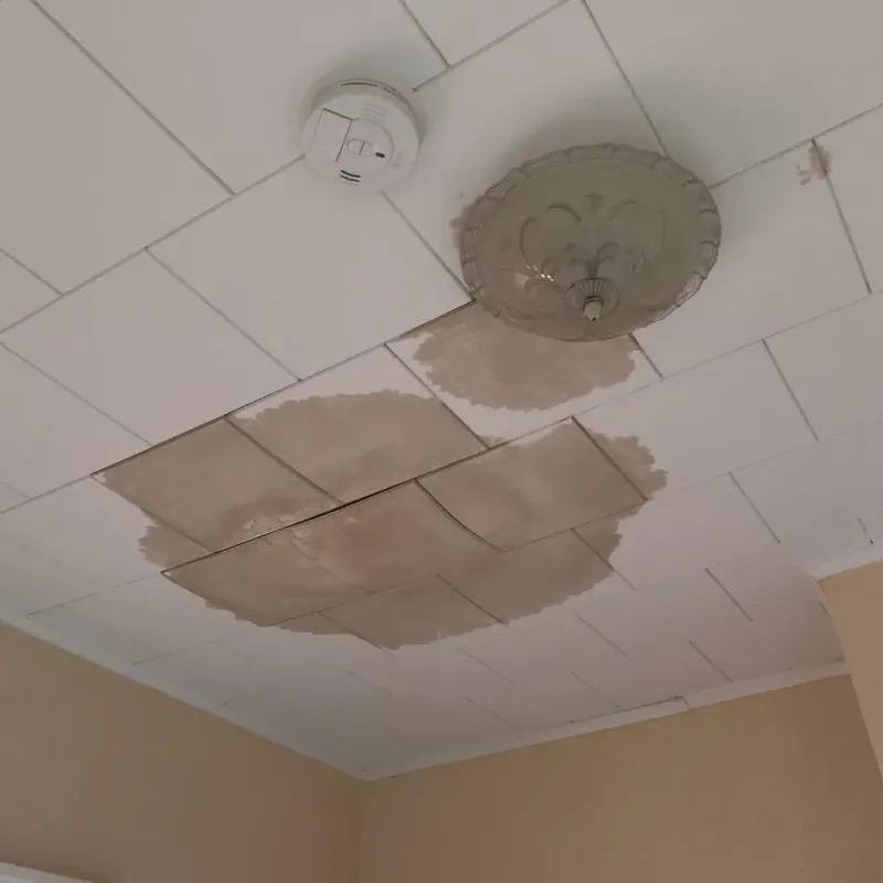 Ceiling Water Damage Repair in Oshkosh, WI