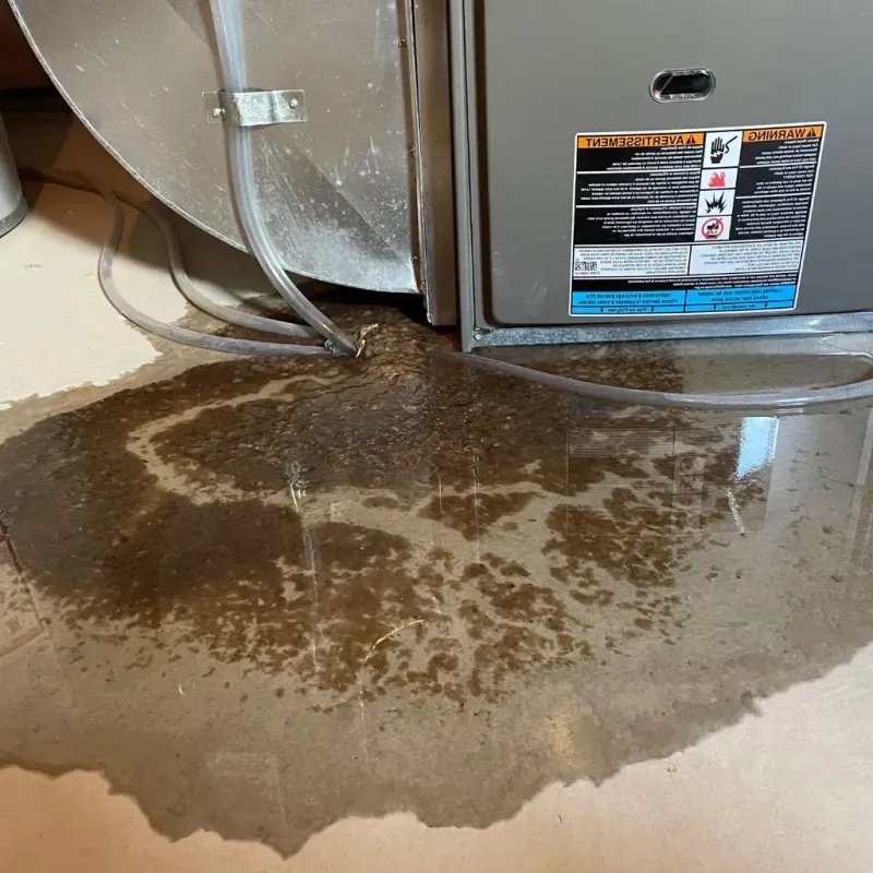 Pipe Burst and Leak Restoration in Oshkosh, WI