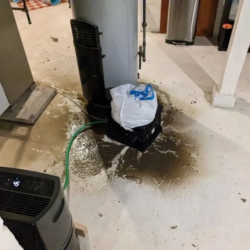 Sewage Backup Cleanup Service in Oshkosh, WI